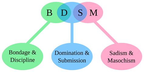 what does bdsm stand fir|BDSM Definition & Meaning .